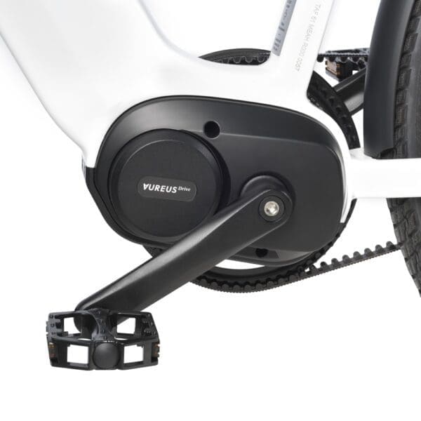 DailyDrive, Detail Motor Riemen DailyDrive, Detail Motor Riemen