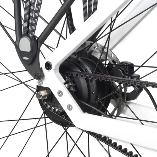 DailyDrive, Detail Schaltung Riemen DailyDrive, Detail Schaltung Riemen