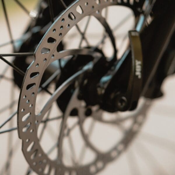 Classic, Detailansicht Bremsen Classic, Detailansicht Bremsen