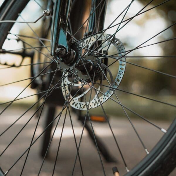 Classic, Detailansicht Speiche Classic, Detailansicht Speiche