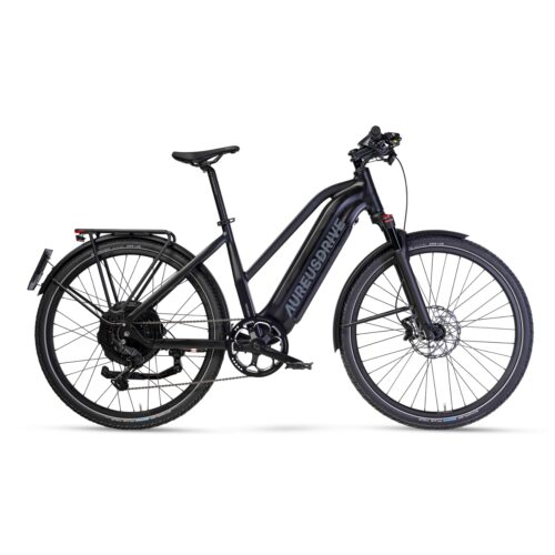 <b>PowerDrive - Ingresso basso, trasmissione a catena</b>